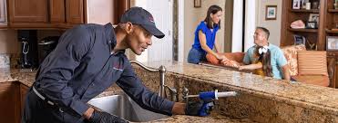 Best Pest Exclusion Services  in Chadwicks, NY